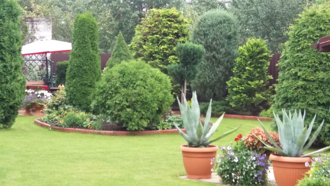Zielone Zacisze Villa Hajnówka Exterior foto